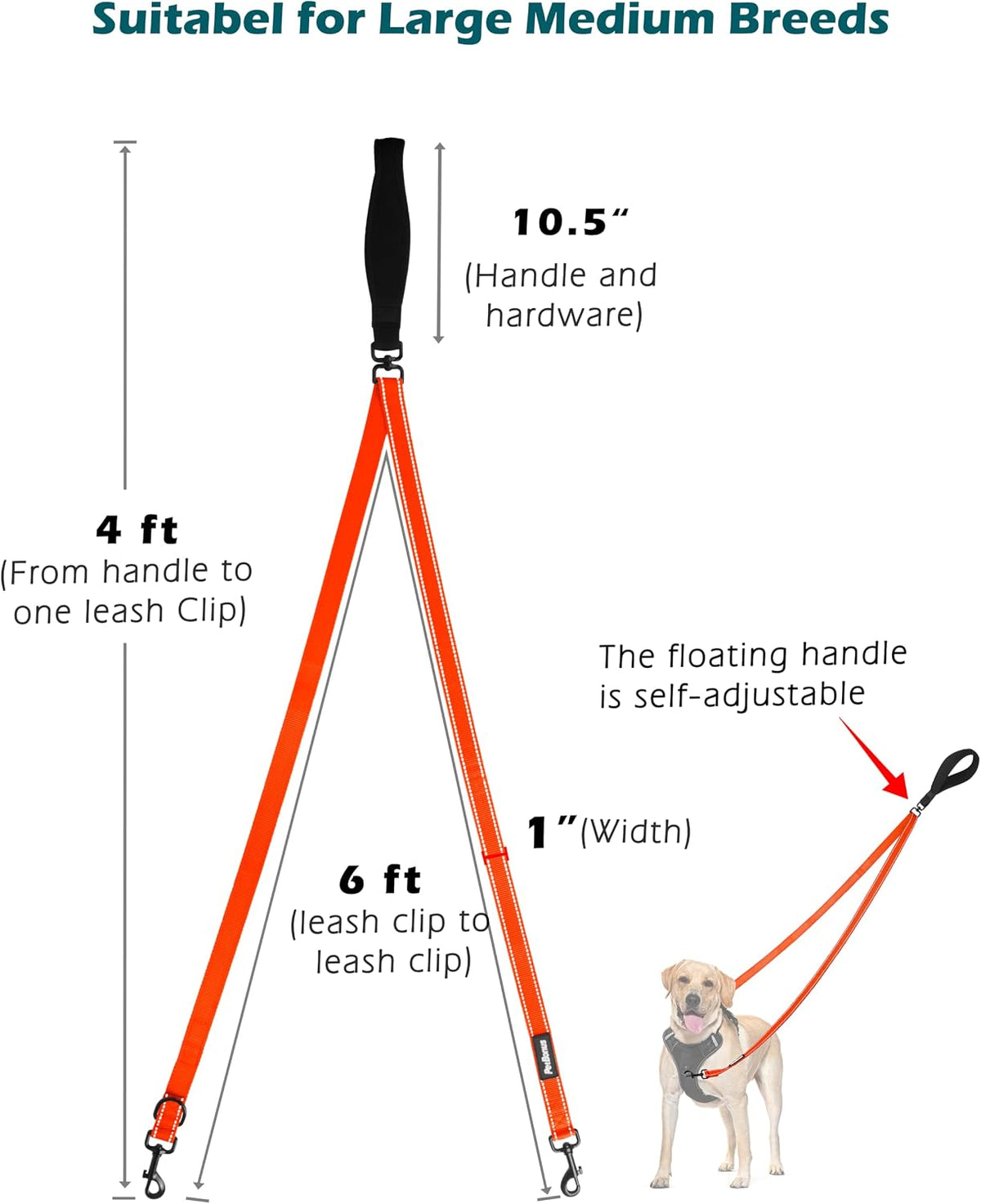 PetBonus Two Point Control Dog Leash, No Tangle Training Walking Leashes