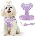 ABRRLO Cute Puppy Harness and Leash Set for Small Dogs Cats Girls,Purple S