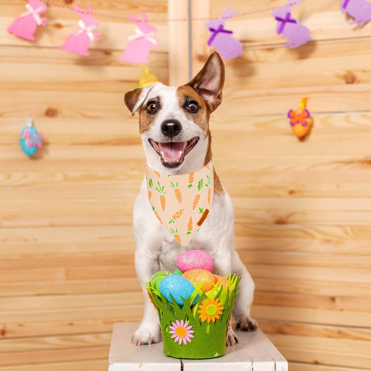 ADOGGYGO Easter Dog Bandanas, Rabbit Carrot Pet Scarf, Multi Size Offered, Orange Blue Easter Bandana for Medium Large Dogs Pets (Large)
