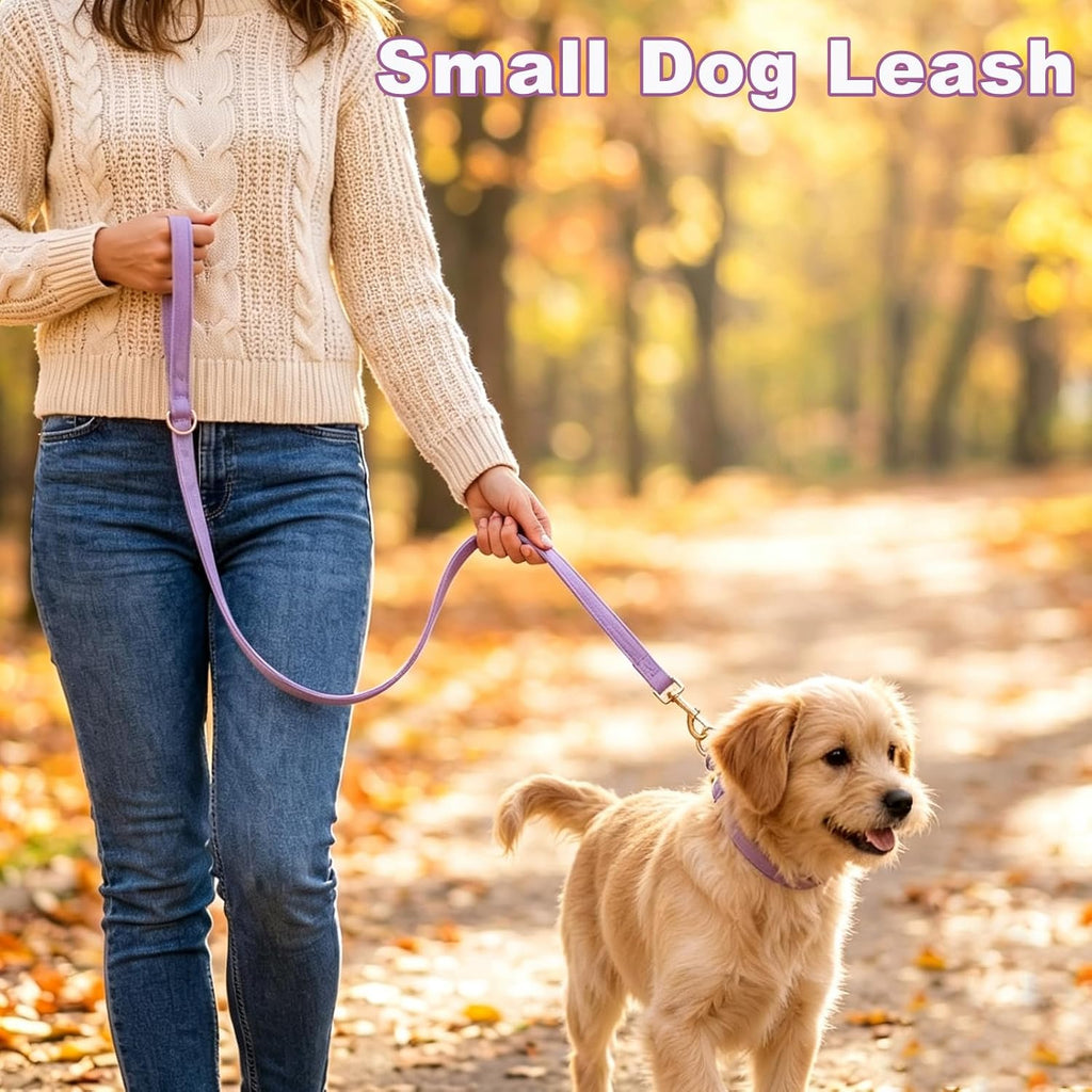 Cotton Dog Leash for Small Dogs- 4ft 6ft Puppy Walking Training Lead