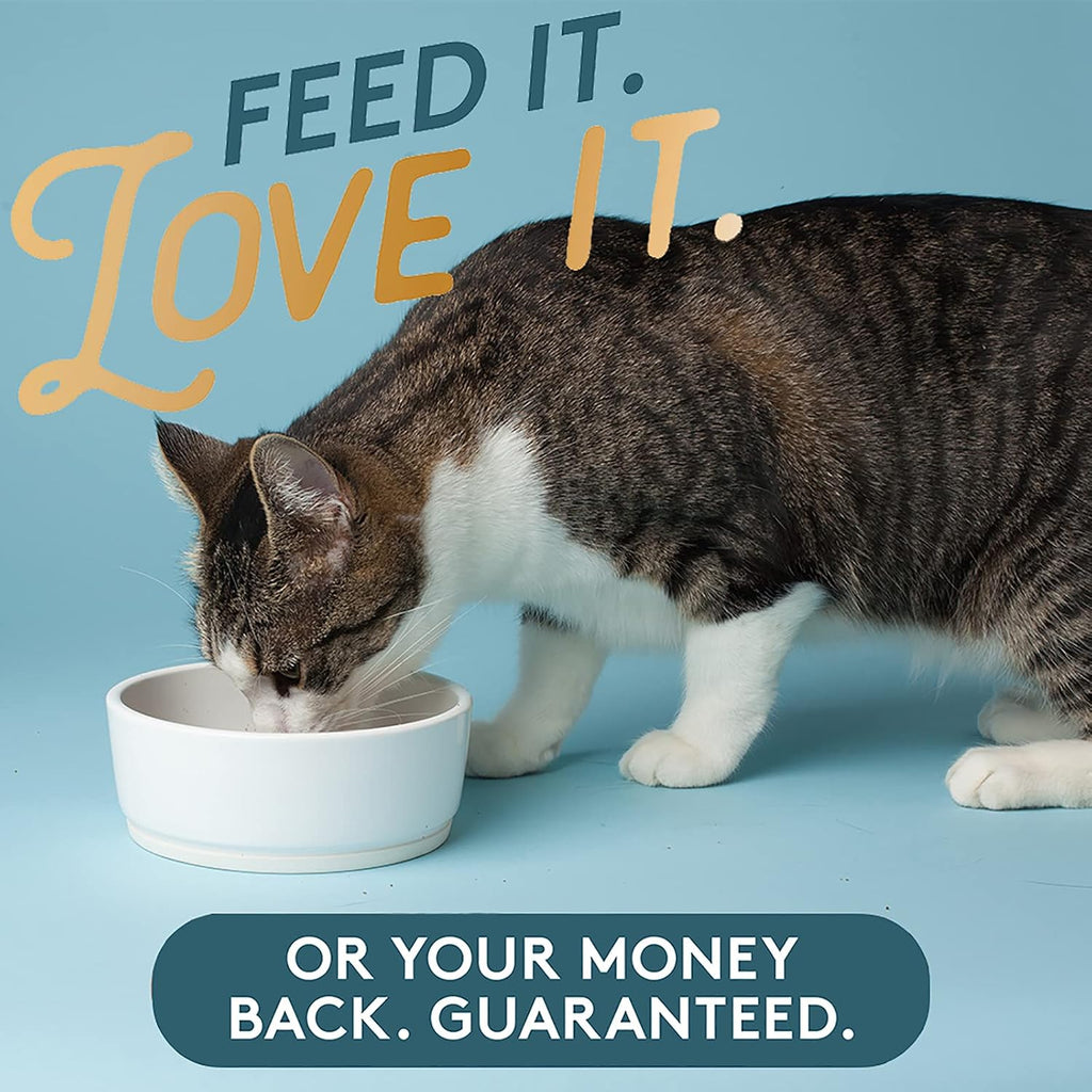 The Missing Link Pet Kelp Cat Well-Being Organic Supplement Powder, 8 oz