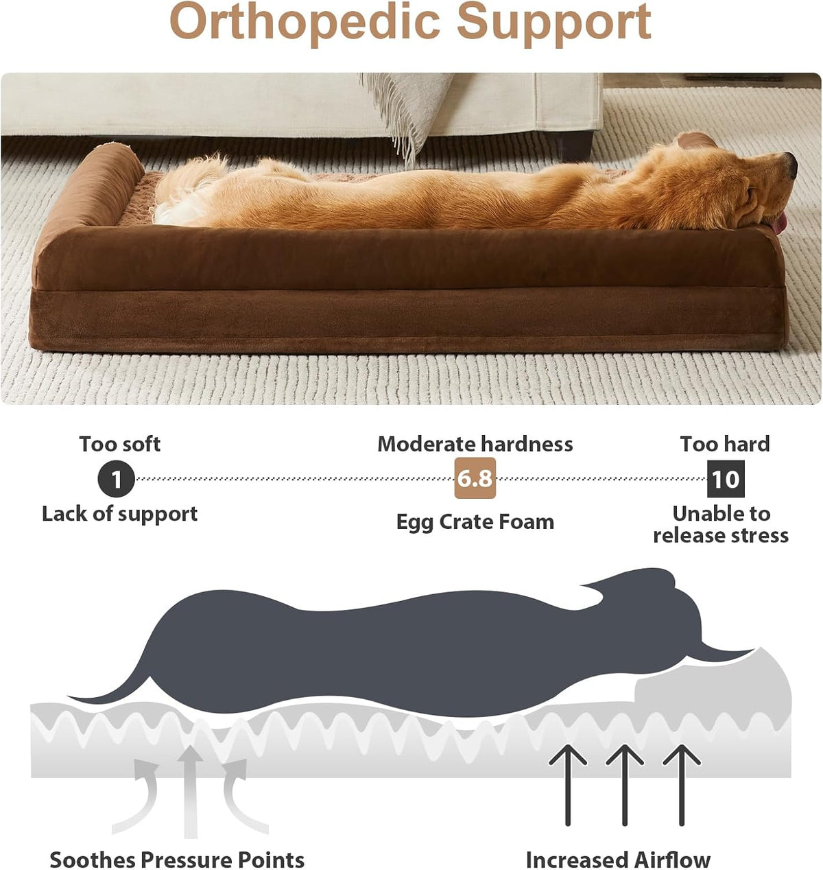 BFPETHOME Orthopedic Washable XLarge Dog Bed for Senior Dog Cozy Sleep