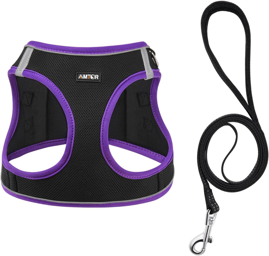 AMTOR Small Dog Harness with Leash Set, No Escape Easy Walk Puppy Harnesses for Training Walking, Step-in Reflective Soft Dogs Vest for XS S Medium Extra-Small Large Sized Dog(Black/Purple,XS)