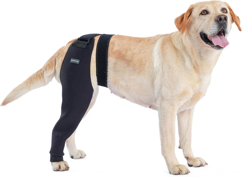 Single Dog Rear Leg Sleeve to Stop Licking, Breathable Dog Recovery Suit for Post Surgery, Comfortable Back Leg Sleeve for Wound Healing,Alternative to Cone Collars (2XLarge)
