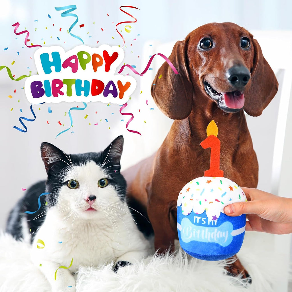 Dansydaisy Dog Birthday Cake Toy Squeaky Plush Gift,1st,Blue | Interactive Squeaky Gift for Dogs, Dog Birthday Decor , Soft Chew for Small Medium Large Pets, Cake Design with Candle