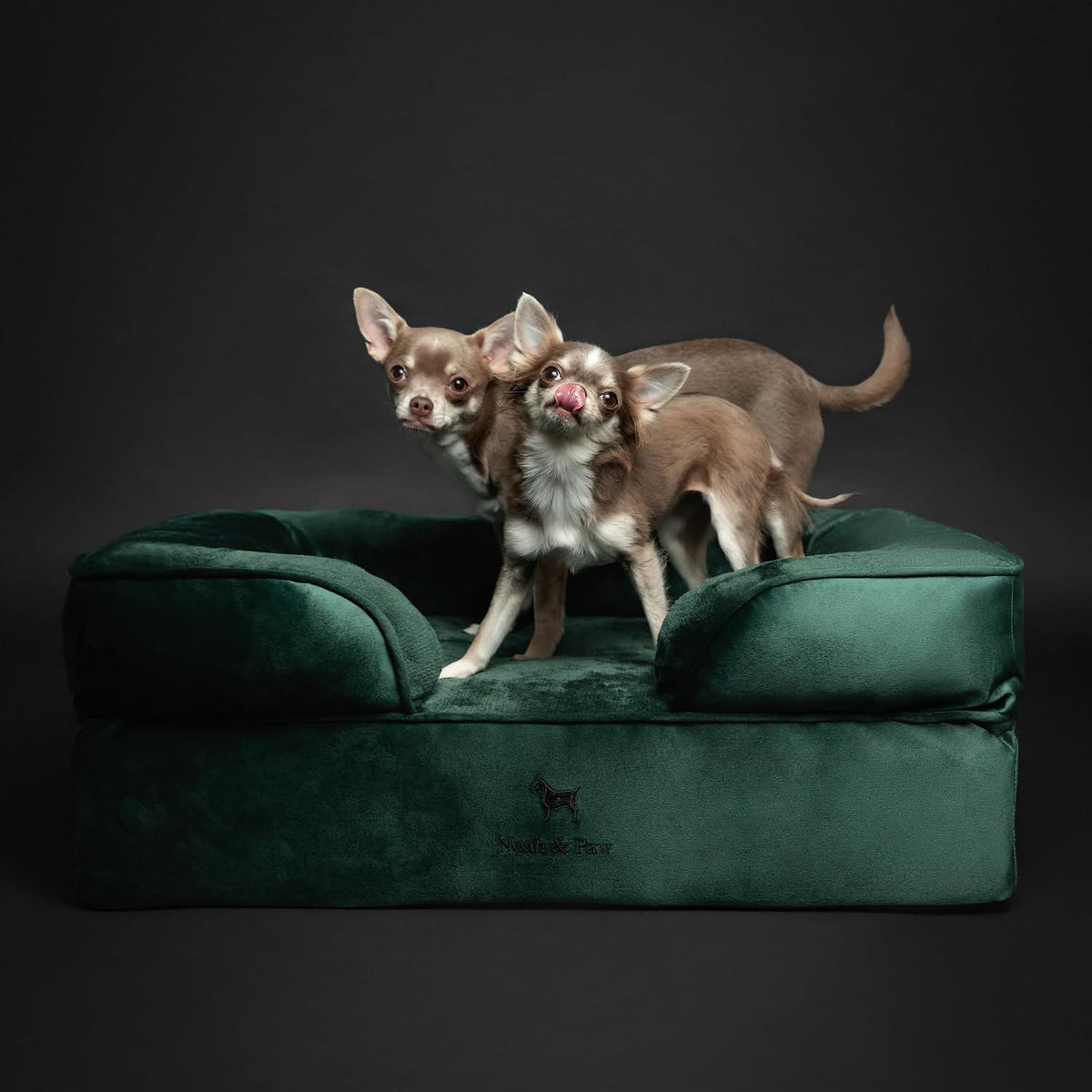 NOAH & PAW Dog Bed, Orthopedic Memory Cooling Foam (2X Base) 28x23x11in