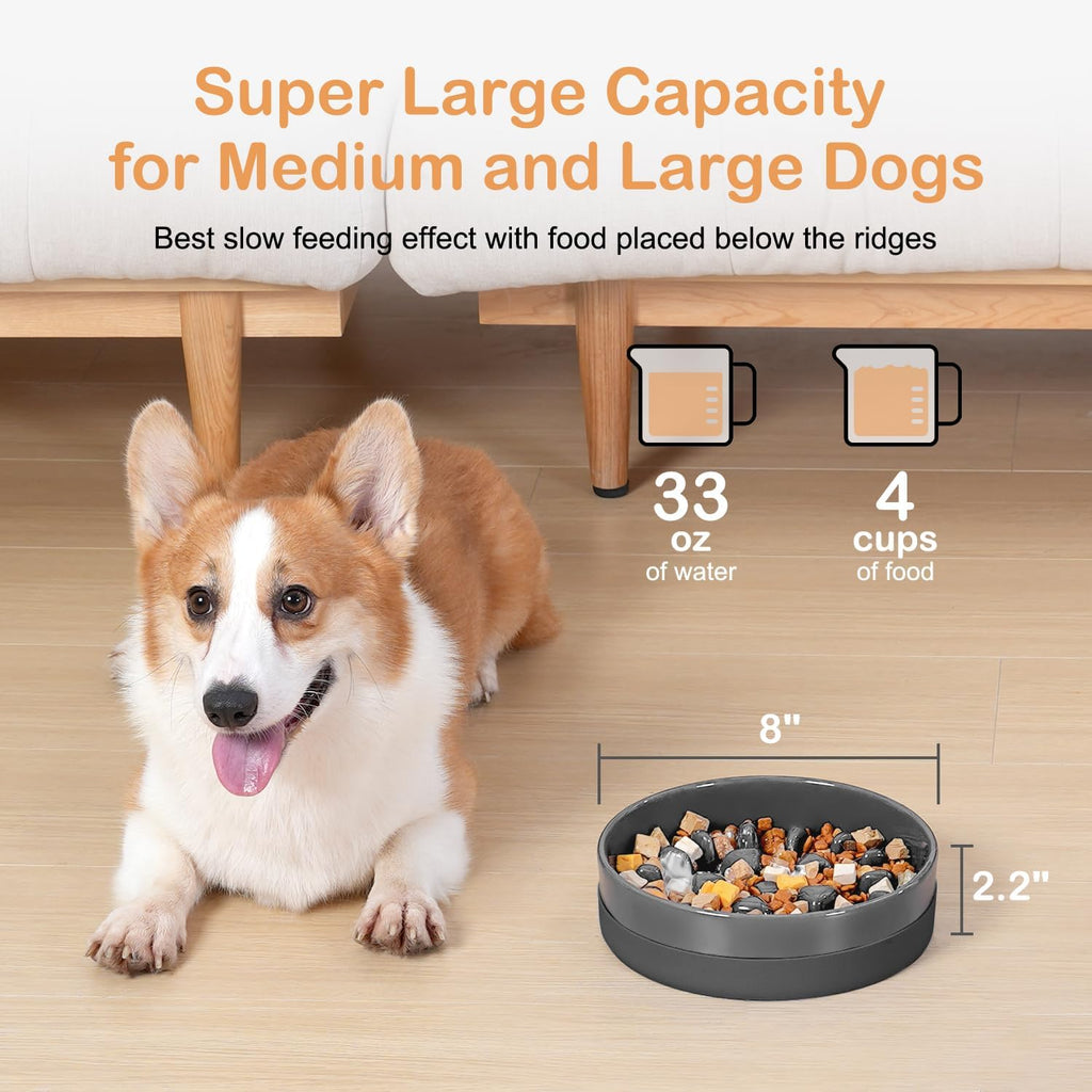 Sted Ceramic Slow Feeder Dog Bowls with Silicone Base