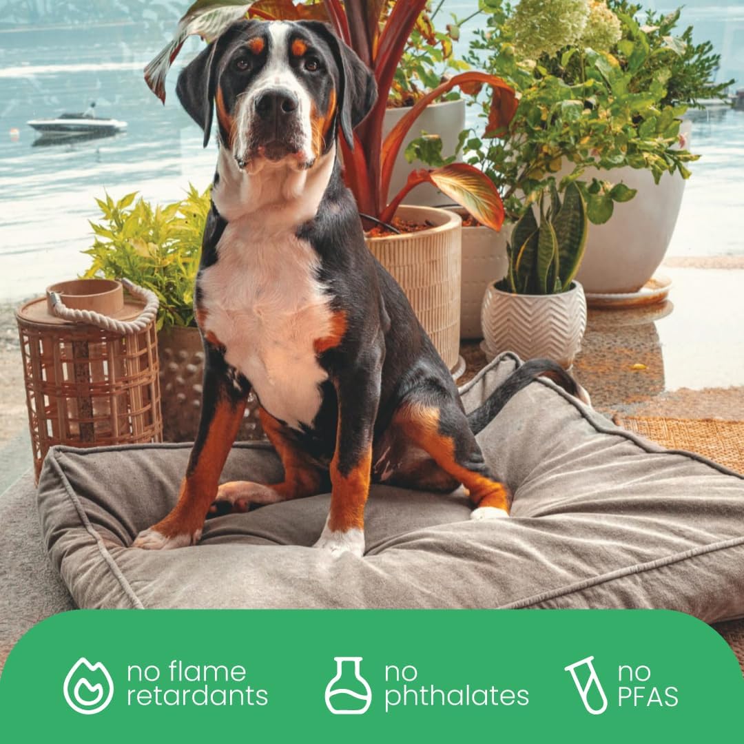 Molly Mutt Gray Dog Bed Cover, Non-Toxic & 100% Cotton, 22"x27"x5"