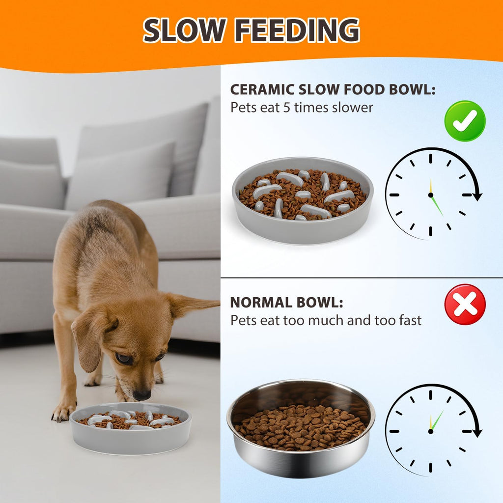 Ceramic Slow Feeder Dog Bowl, 2 Cups Maze Puzzle Dish to Slow Down Eating