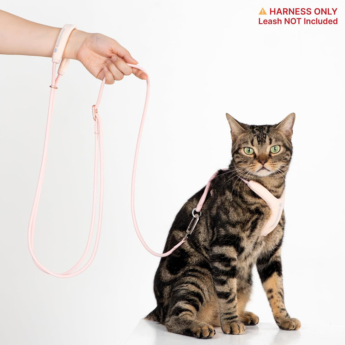 Escape Proof Y Shape Cat Harness Anti-Choke (Blush Pink, L)