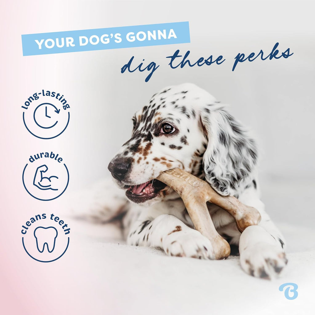 Benebone Dog Chew Toys for Gentle Chewers, Dog Bones, Small, Puppy (Pack of 32)