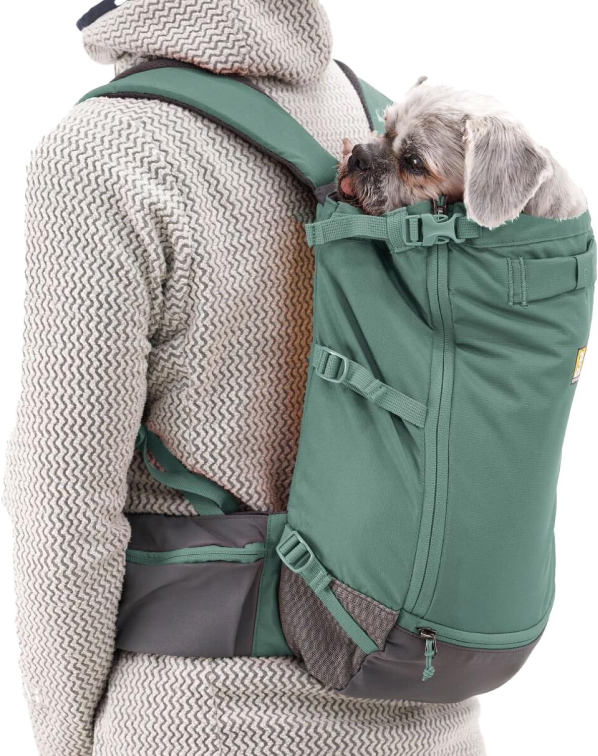 Ruffwear, Hitch Hiker Dog Backpack Carrier, River Rock Green, XX-Small