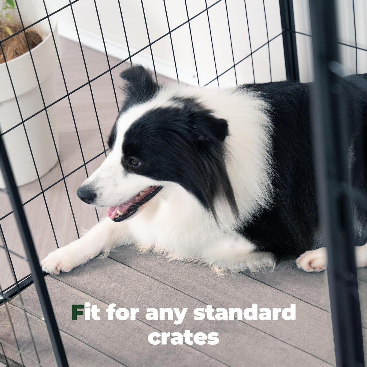 BALANCE Dog Crate Pad - Washable Water-Resistant Kennel Mat for Medium Dogs