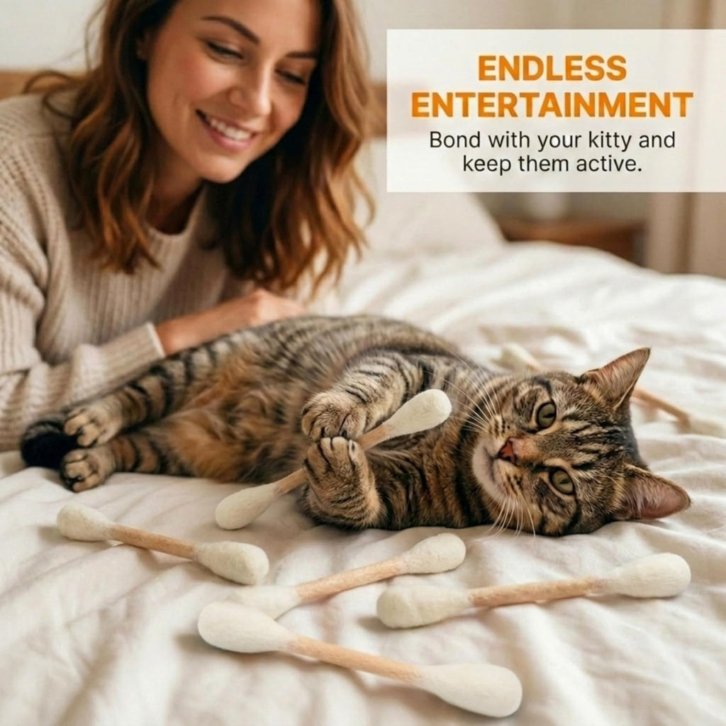 Glaciart One Swabs Cat Toys with Catnip - 6 Pk | Durable for Chew, Cute Cat Toys Interactive Kitty for Boredom, Exercise, & Play | Filled w/Organic Catnip for Anxiety & as Digestive Aid | Gift Idea