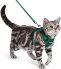 rabbitgoo Cat Harness and Leash, Easy-on with Neck Buckle, Dark Green