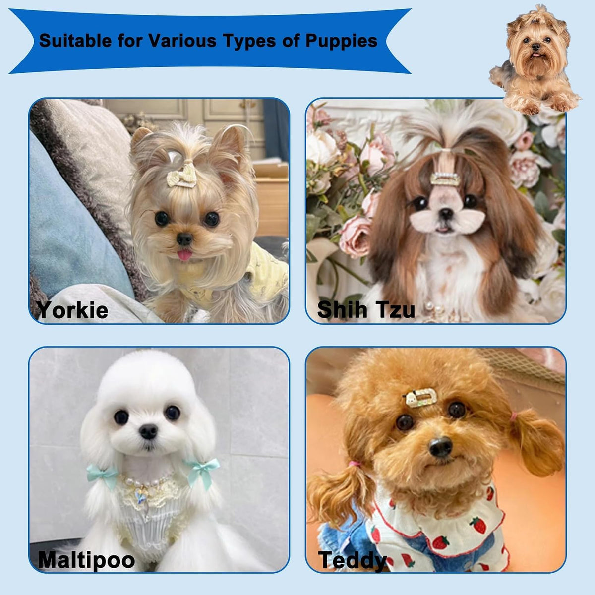 4 PCS Puppy Brush Grooming Kit, Dog Brush for Long Haired Dogs, Blue
