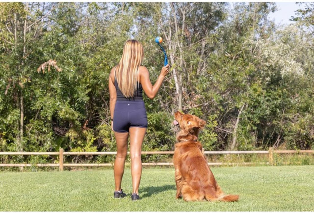 Chuckit! Dog Ball Launcher 12M Sport with 12" Handle Length for Medium 2.5" Dog Balls For Dogs 20-60 lb, Plastic Pet Fetch Ball Thrower, Perfect for Kids, Made in USA, Blue