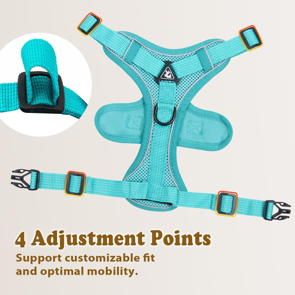 Cat Harness and Leash for Walking, Escape Proof Soft Adjustable Vest Harnesses for Cats (Emerald, S : Cat Weight 3.3-6.6 LB)