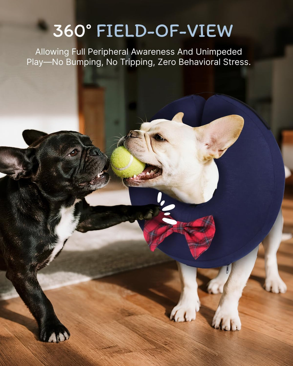 MIDOG Inflatable Dog Cone, Soft Donut Recovery Collar, Bow Tie, Large+