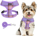 SCENEREAL No Pull Dog Harness with Leash Set for Small Dogs