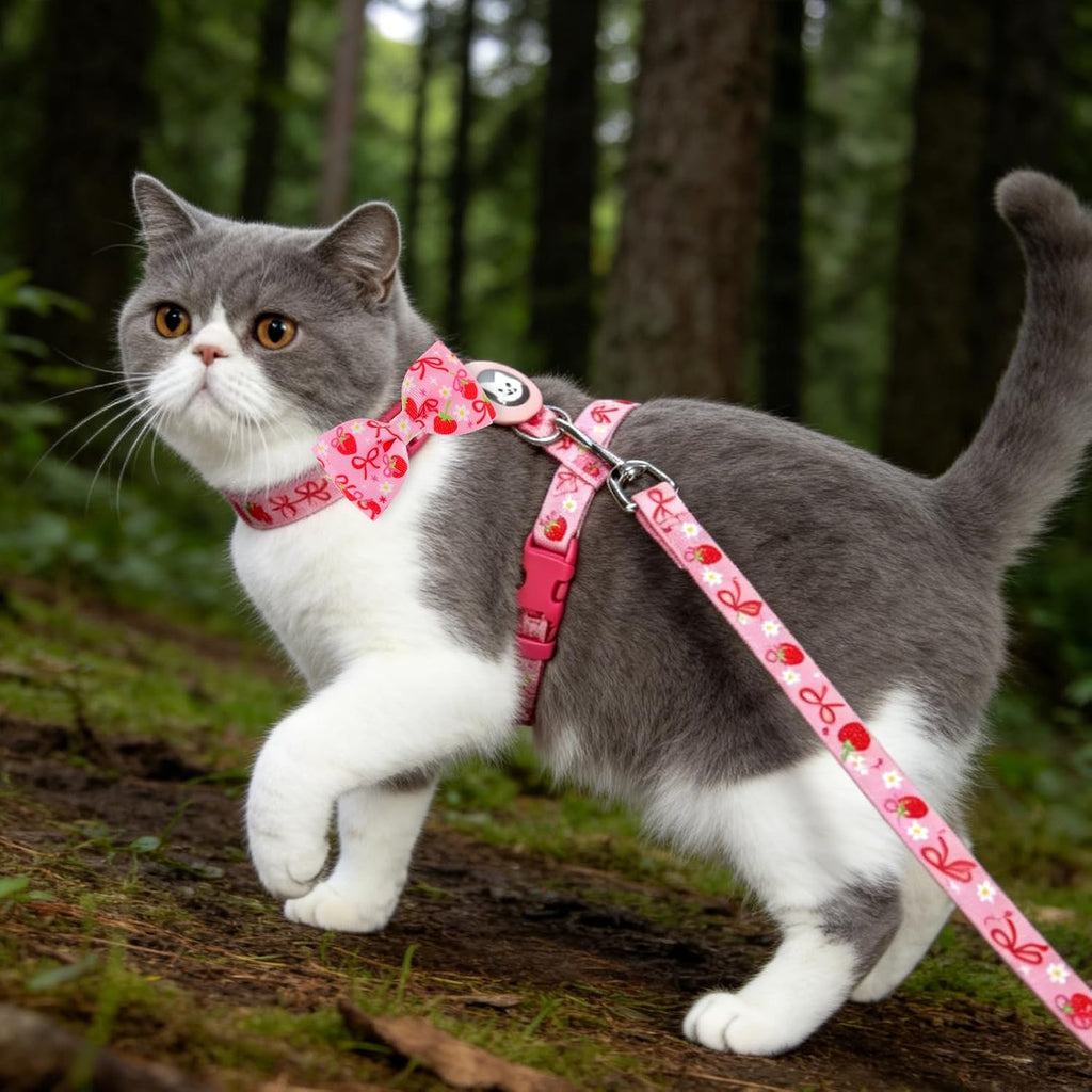 EXPAWLORER Cat Harness and Leash Set Escape Proof Vest with AirTag Holder