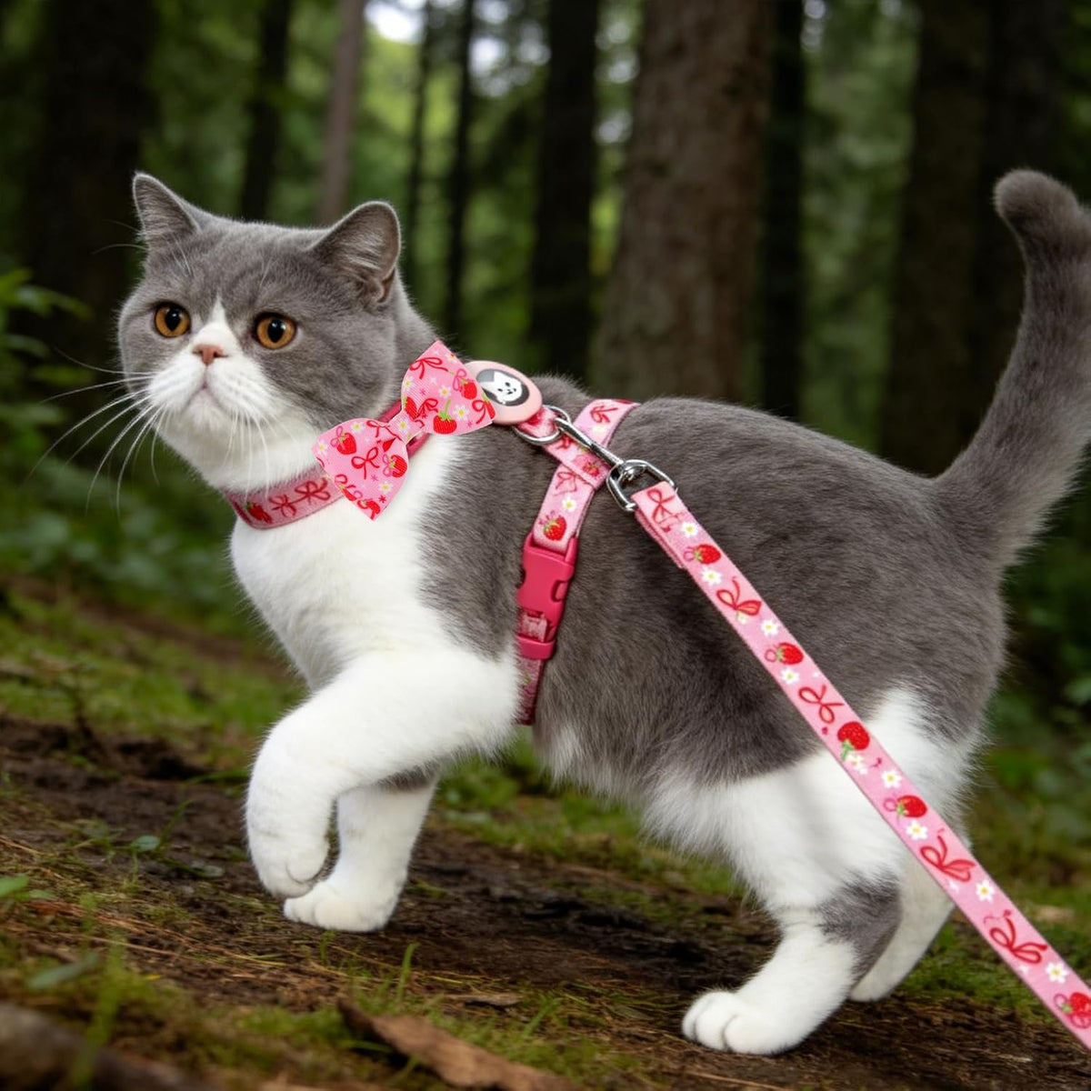 EXPAWLORER Cat Harness and Leash Set Escape Proof Vest with AirTag Holder