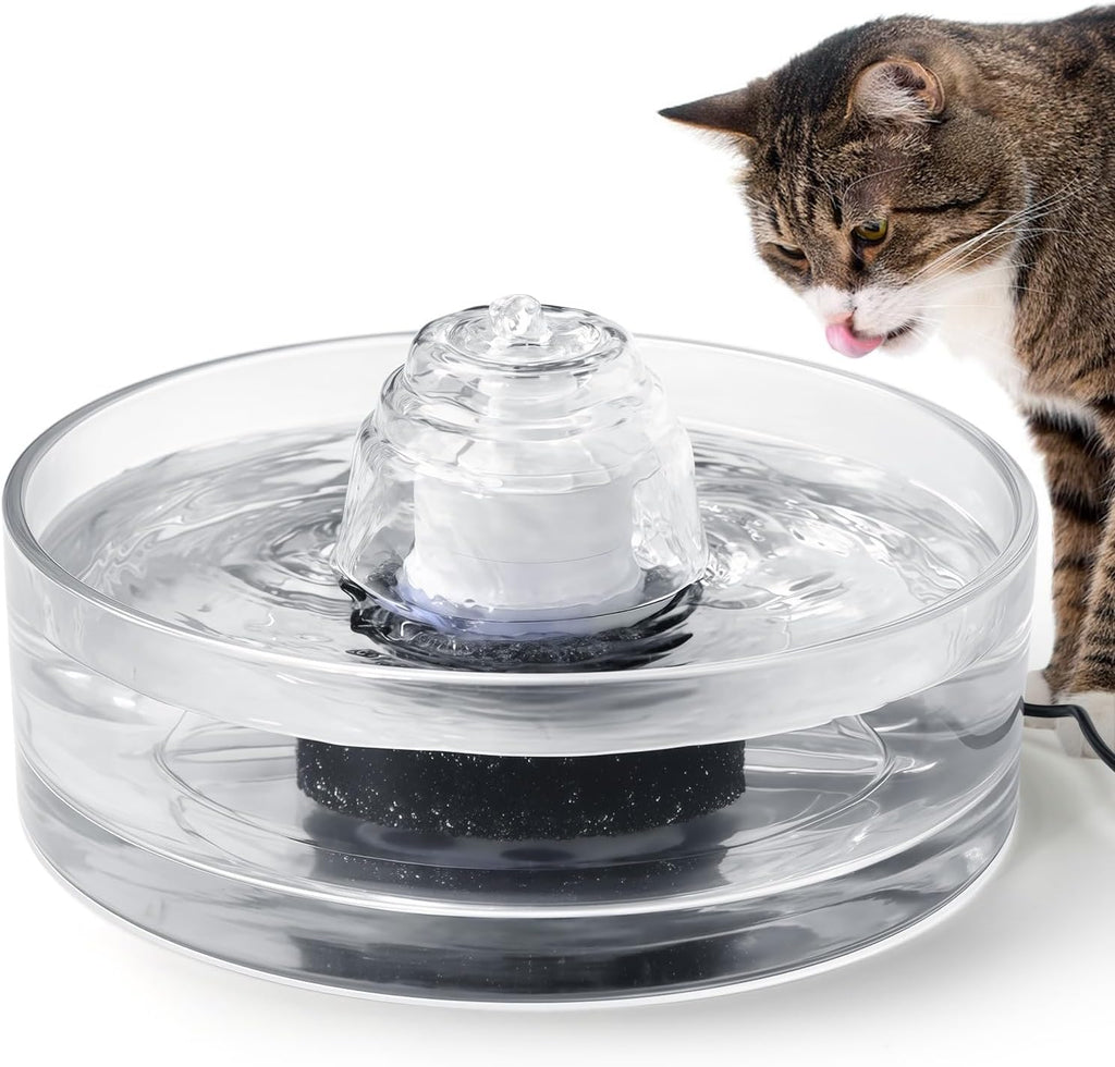 Transparent Glass Cat Water Fountain Cover