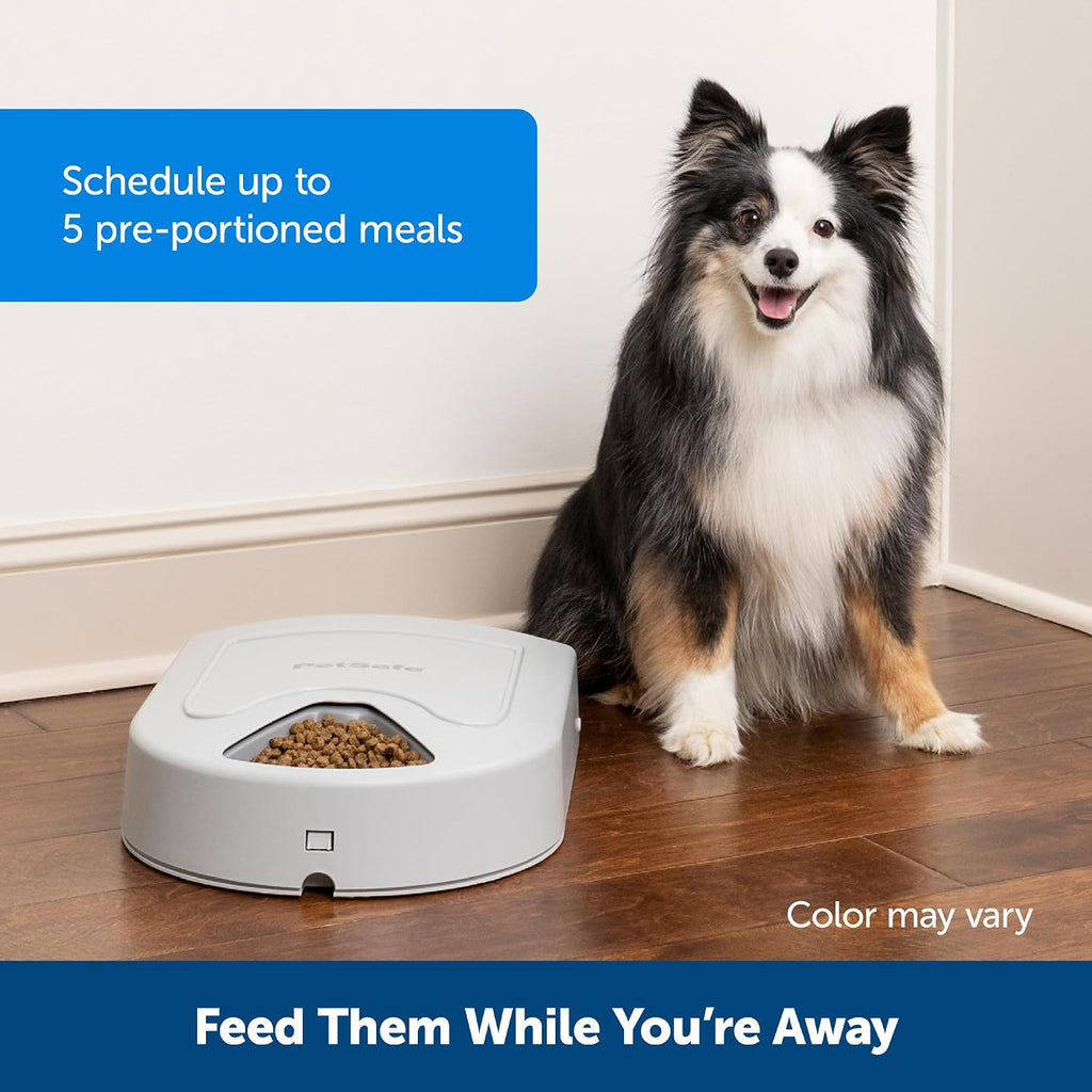PetSafe Automatic Dog Feeder, 5 Meals, 40 oz Capacity, Plastic, for Dry Food, Multiple Pets (Pack of 2)