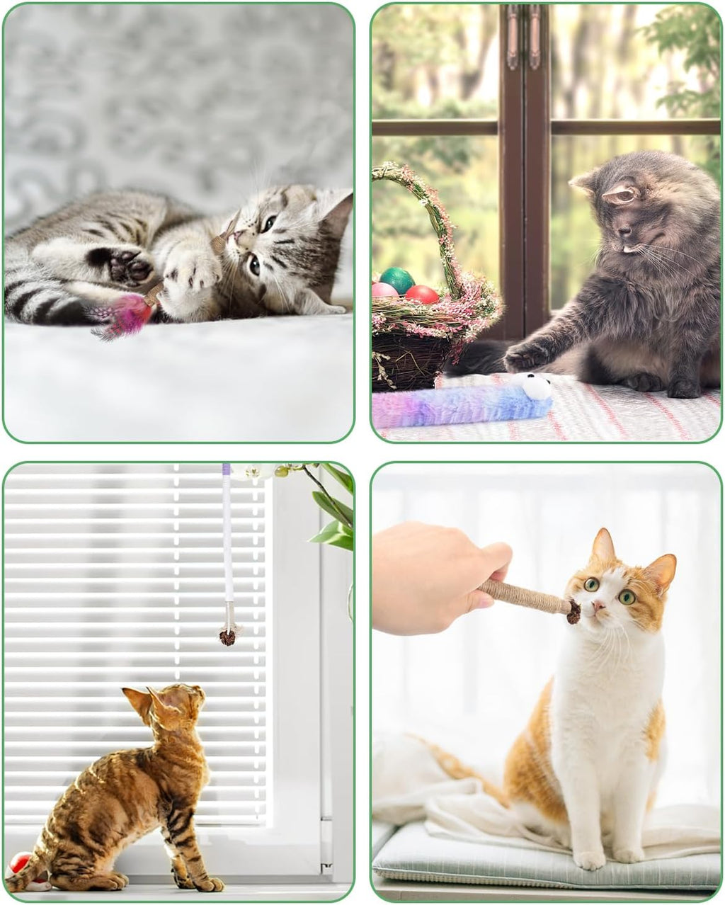 Bissap 20PCS Silvervine Chew Sticks, Catnip Chewing Toy for Cat Kitten