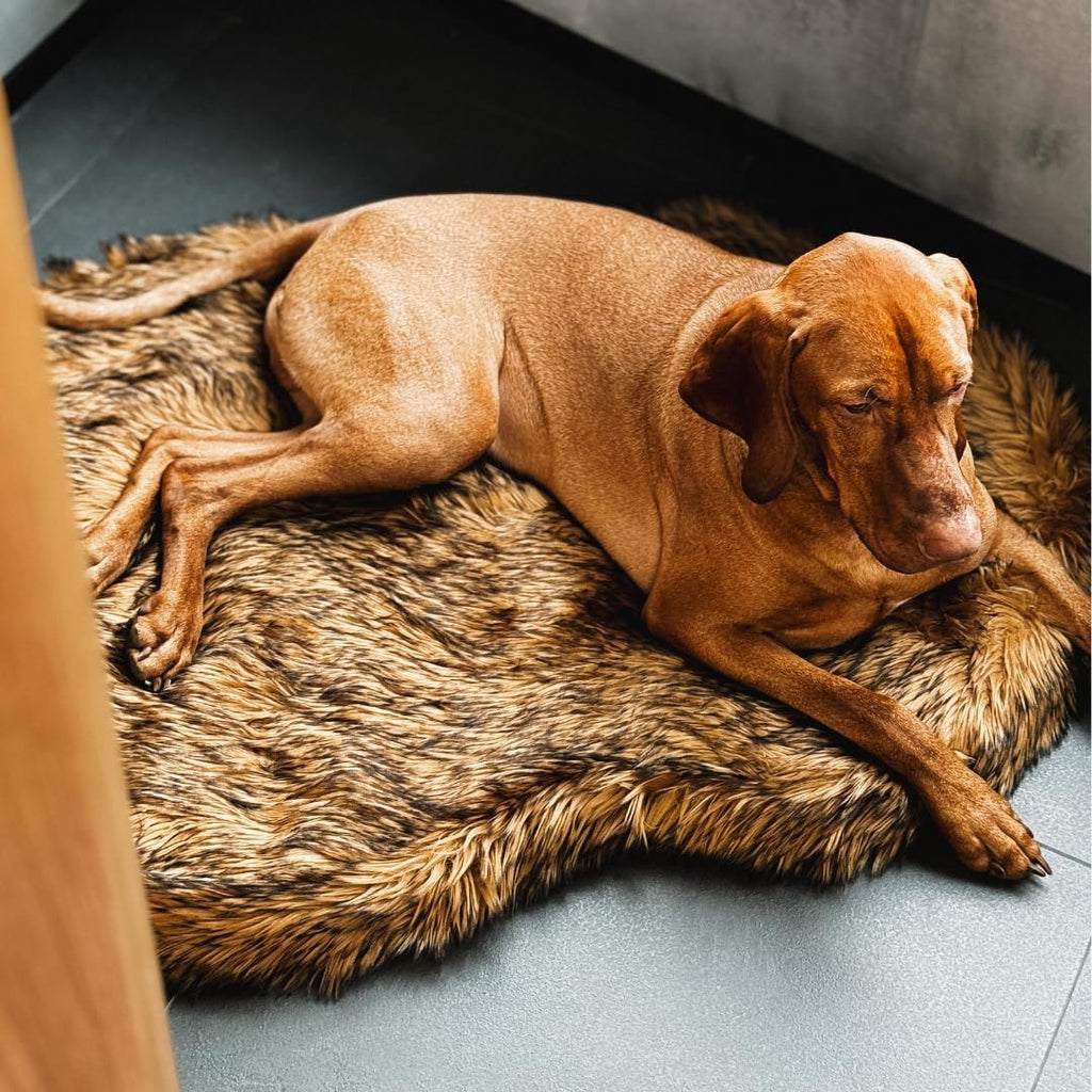 IHAPPYDOG Faux Fur Orthopedic Dog Bed, Memory Foam, Brown 60"x35"