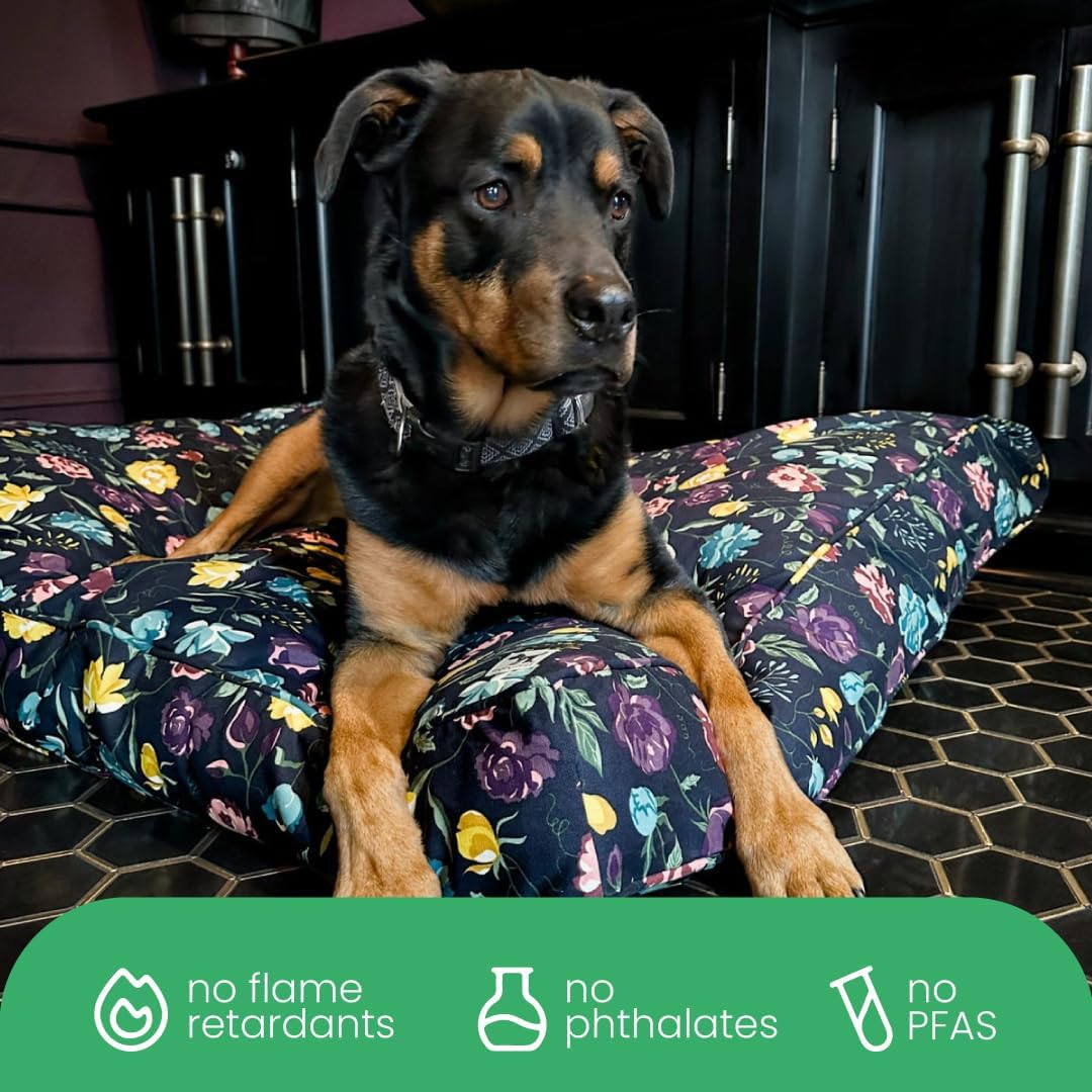 Molly Mutt Friday Morning Dog Bed Duvet Cover, GOTS-Certified 100% Organic Cotton Canvas Cover for Dog, Puppy, or Cat Bed, Durable, Washable, and Free of Harmful Chemicals, Small, 22"x27"x5"