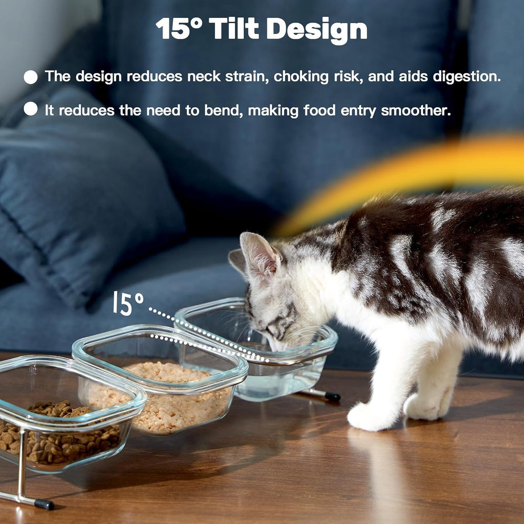 Elevated Cat Bowls, 15° Tilted Glass Raised Cat Food and Water Bowl | Stainless Steel Stand, 3 Large Capacity Glass Cat Bowls and 4 Anti Slip Feet, Suitable for Cats and Little Dogs