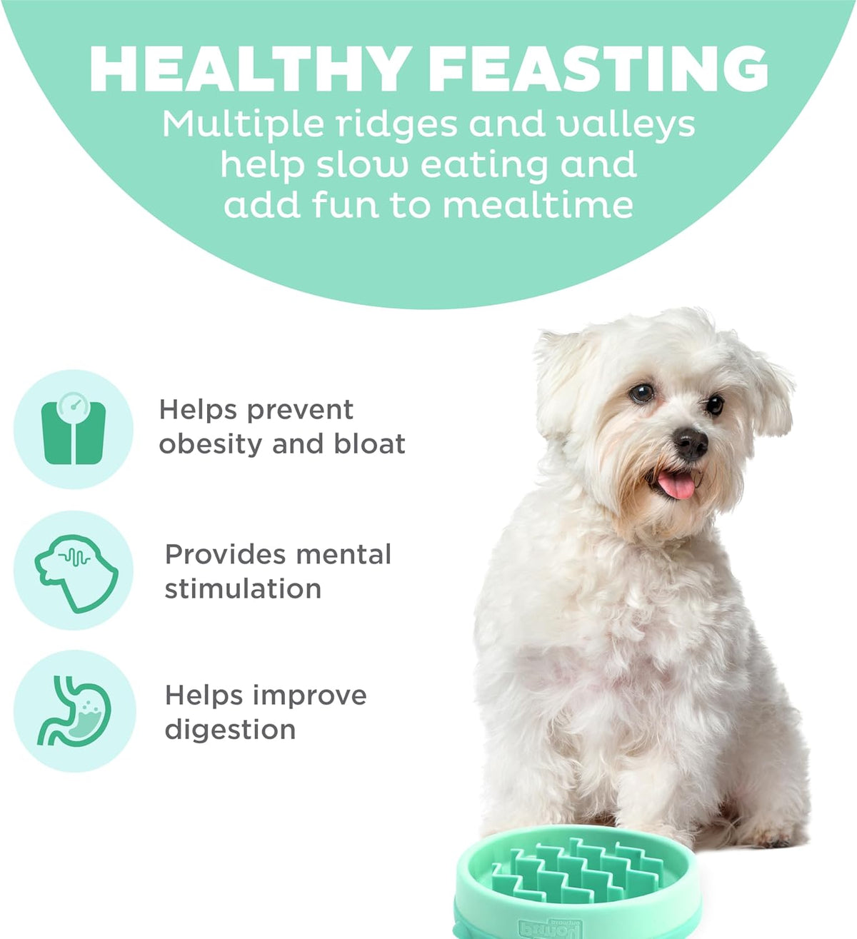 Outward Hound Fun Feeder Slo Bowl – Small 3/4-Cup Capacity, Slow Feeding, Small Dogs, Puppies & Cats, Non-Slip, Mint, Wave Pattern | Slows Fast Eaters, Can Aid Digestion, Holds 3/4 Cup Dry or Wet Food, Non-Slip Base, No BPA, Small Dogs, Puppies & Cats 