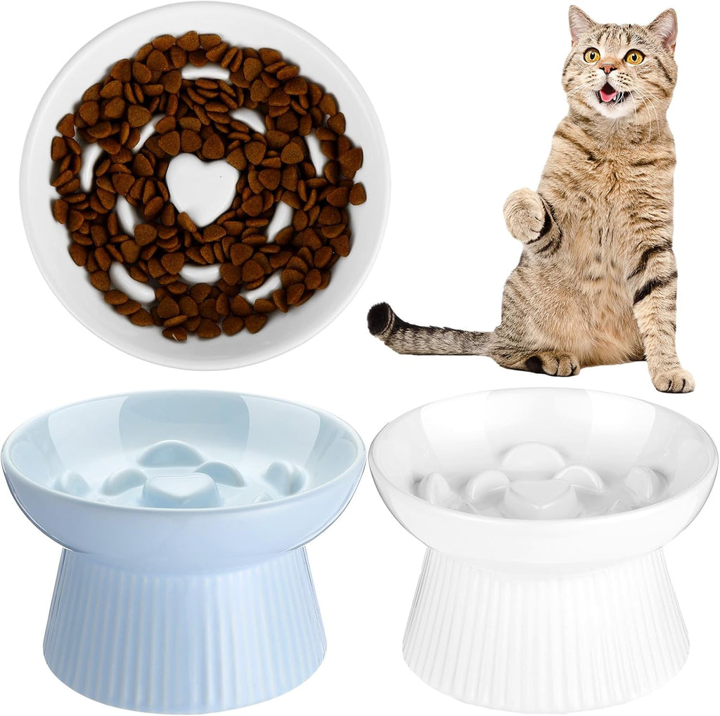 Tioncy 2 Pcs Ceramic Elevated Slow Feeder Cat Bowl, White, Blue