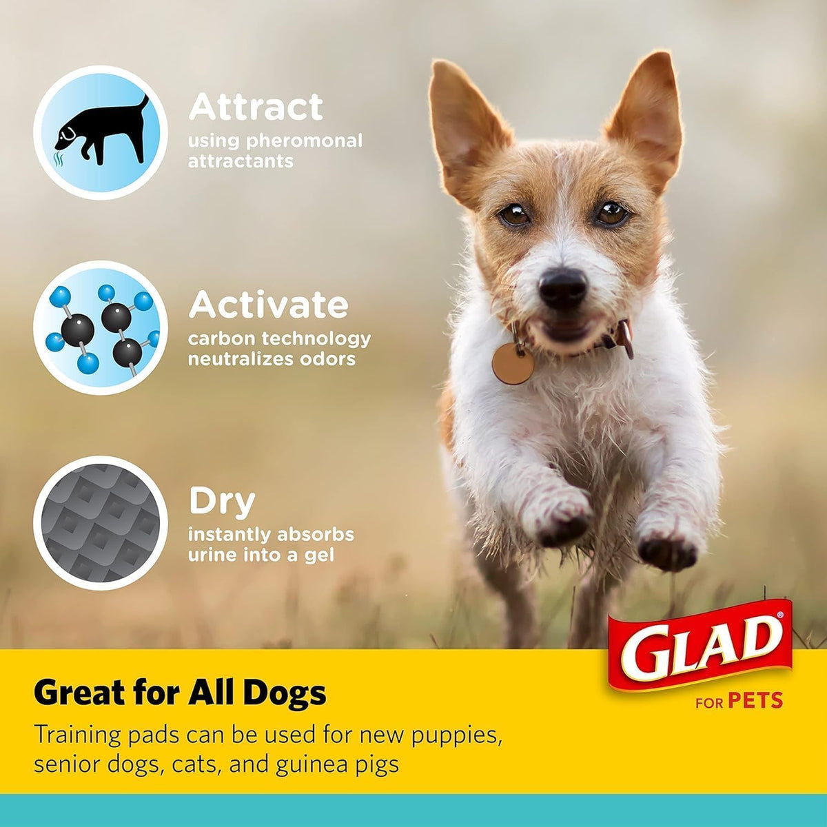 Glad for Pets Black Charcoal Puppy Pads, 17.5 x 23.5 Inch, 120 Count, 2-Pk | Super-absorbent core, disposable design, 17.5x23.5 in, potty crate and indoor training
