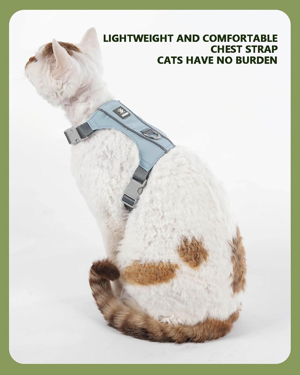 Cat Harness and Leash Set with Reflective Strips, Escape Proof Adjustable Vest, Premium Taffeta Fabric Soft Lightweight, Tear Resistant, for Kitten Small Cats Outdoor Walking (Blue, S)