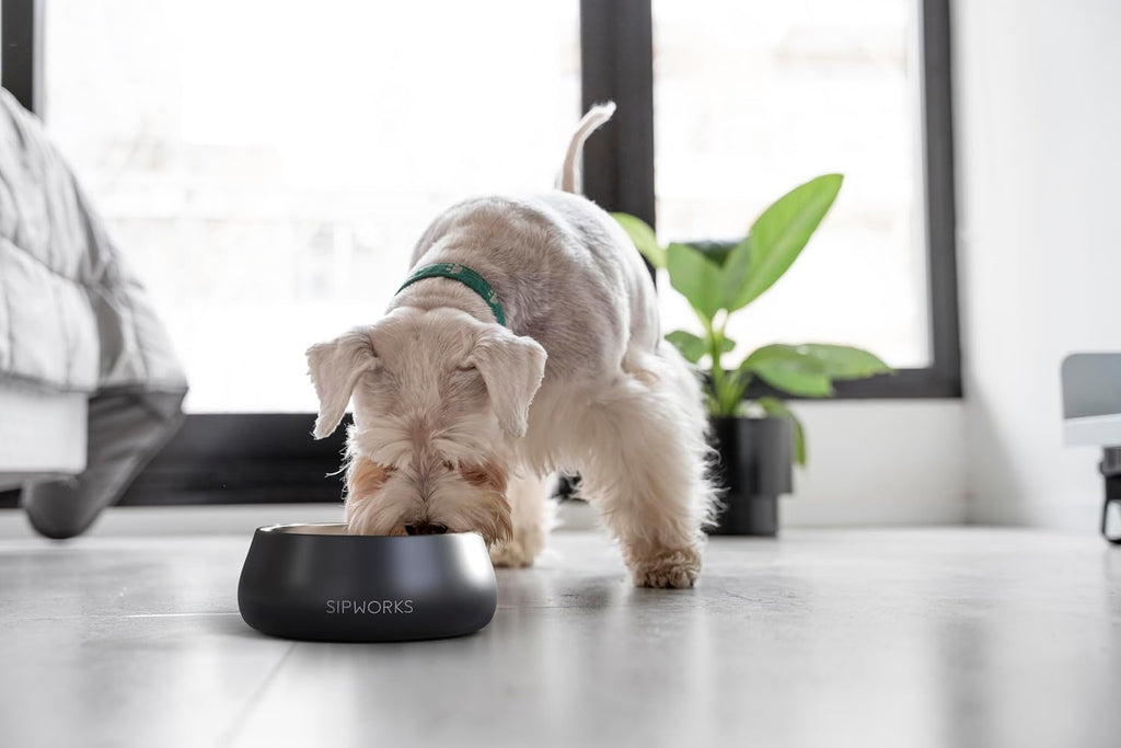 Sipworks Stainless Steel Dog Bowl – 32oz Weighted Metal Food and Water Bowls for Dogs and Cats with Non-Slip Base - Pet Bowls for All Breeds Sizes for Travel & Outdoor Play - Steel