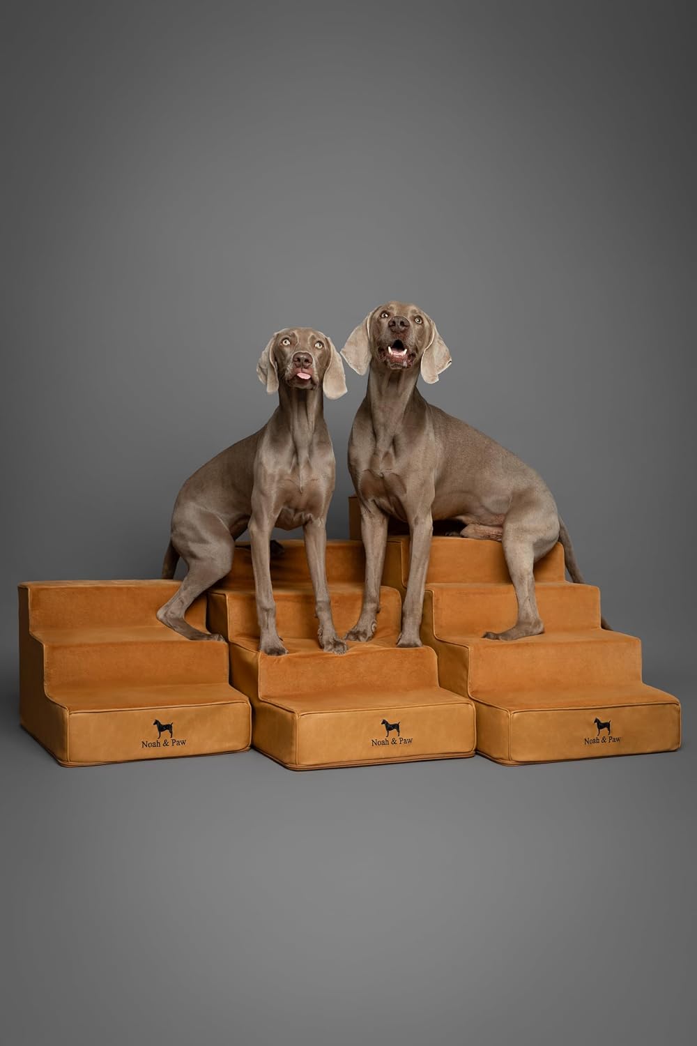 Noah & Paw Dog Stairs for Large Dogs, Up to 150lb, Wide Dog Ramp for Bed