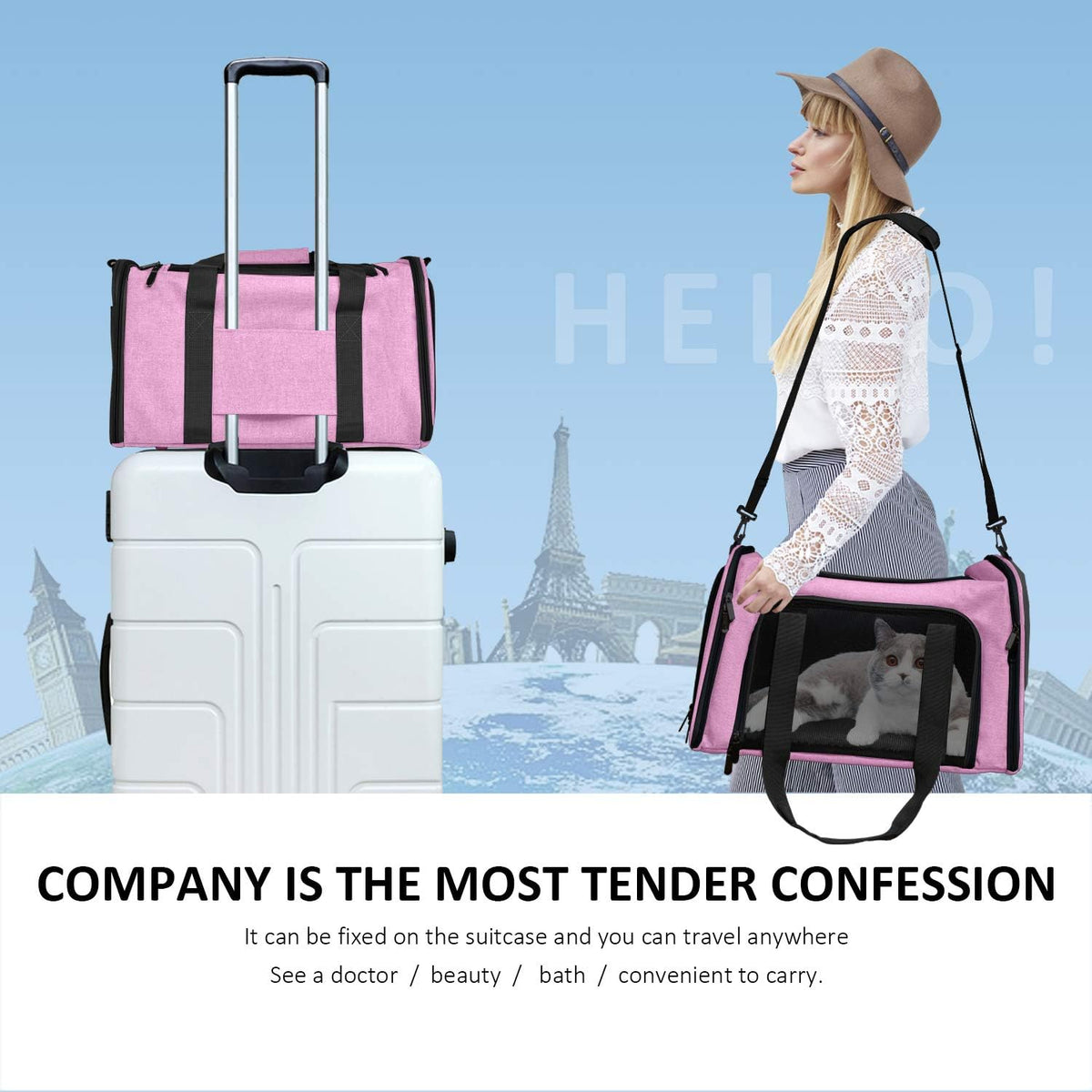 Henkelion Pet Carrier for Small Medium Cats Dogs Puppies up to 15 Lbs, TSA Airline Approved, Soft Sided, Collapsible Travel - Pink (Pack of 2)