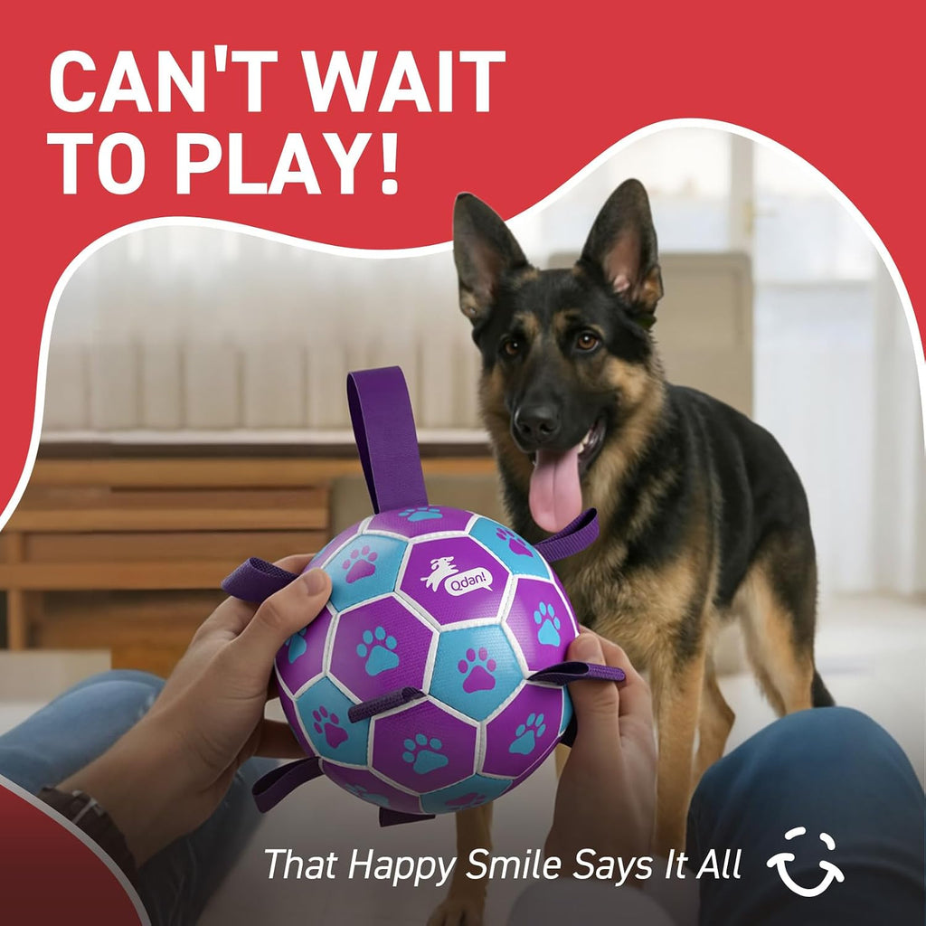 QDAN Big Dog Toys, Large Herding Ball for Dogs Large, Outoor Soccer | 9 Inch Soccer Ball with Tabs for >90 lbs Dogs, Durable Balls for Aggressive Chewers, Herding Ball to Keep Them Busy, Purple