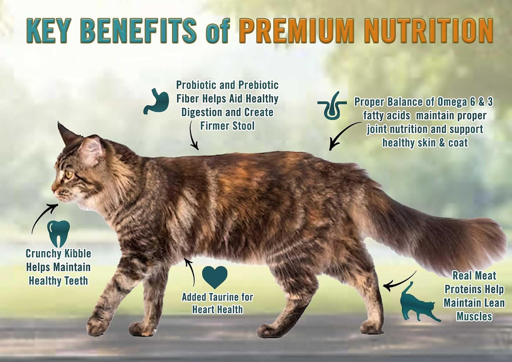 Chicken Soup for the Soul All Natural Premium Adult Dry Cat Food, Real Meat First Ingredient, No By-Products, Supports Heart, Gut & Immune Health, Chicken & Brown Rice, 4.5lb (Pack of 2)