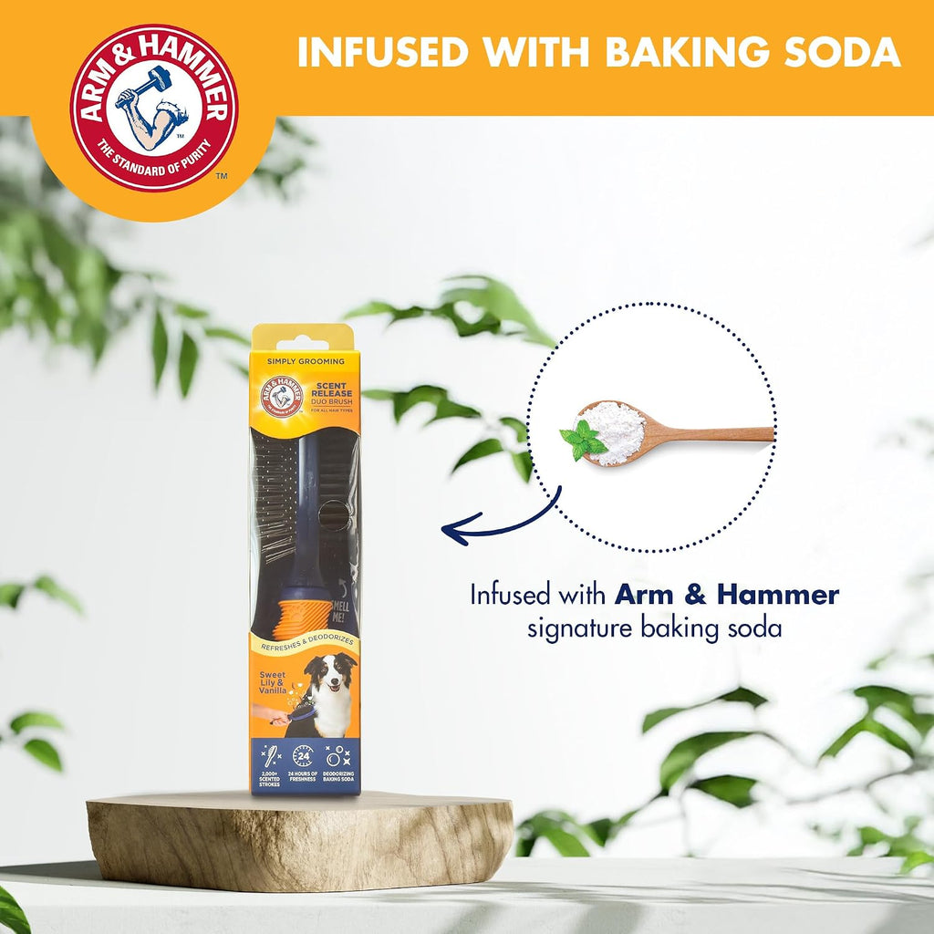 Arm & Hammer Deodorizing Pin & Bristle Dog Brush, Lily & Vanilla Scent