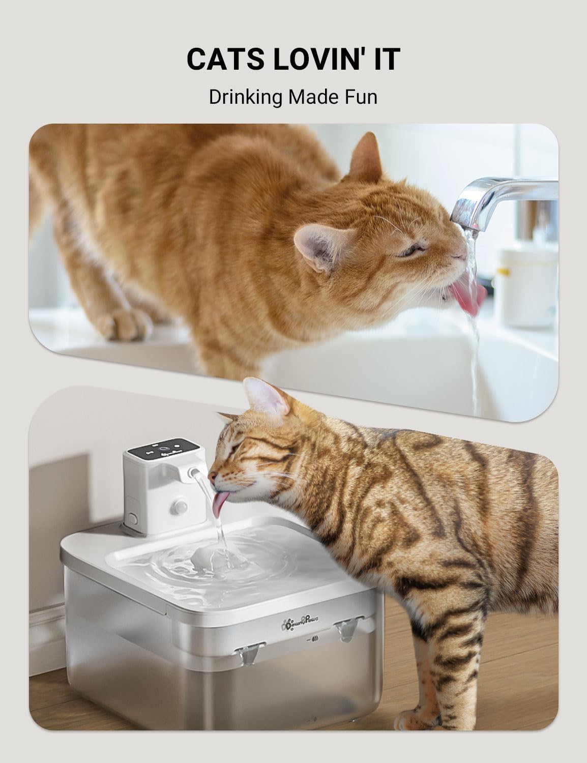 DownyPaws Cat Water Fountain Cordless, Pet Fountain, 84oz/2.5L, White