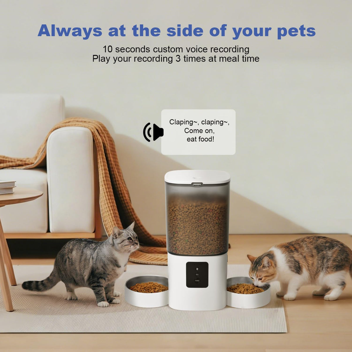 ANDOLL HOME 6L Automatic Cat Feeder, 2 Pets Timed Cat Dry Food Dispenser