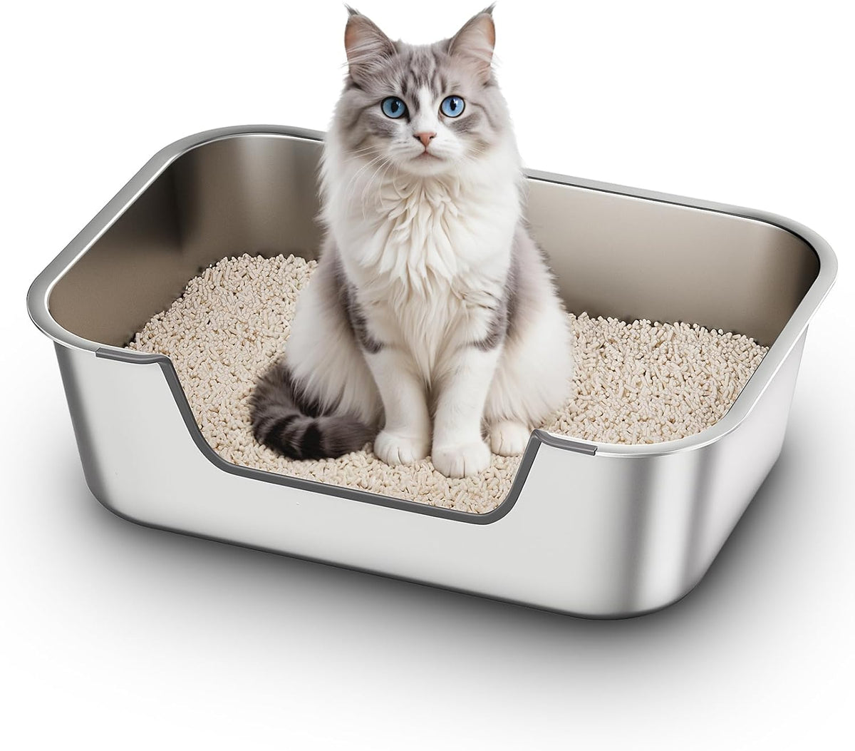 Qiuma Stainless Steel Cat Litter Box with Low Entry, Metal Kitty Litter Box for Senior or Injured Cats, Odor-Free, Non-Stick, Easy to Clean, 19.5"x13.6"x5.9", Litter Pan for Big and Small Cats