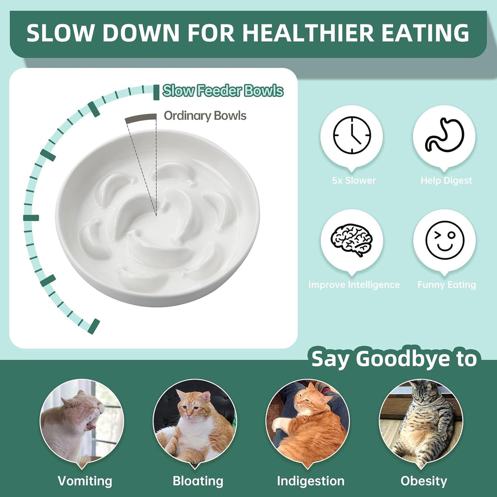 Ceramic Slow Feeder Cat Bowl, 6.3'' Wide Whisker Friendly Cat Puzzle Feeder | Slow Eating 5x, Anti Vomit Shallow Slow Eating Cat Dish for Dry and Wet Food, Microwave and Dishwasher Safe, 6.3" X 1.2"