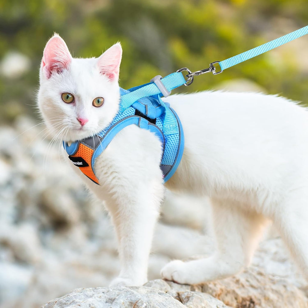 Dooradar Cat Harness and Leash Set, Easy-on Vest, Orange & Blue