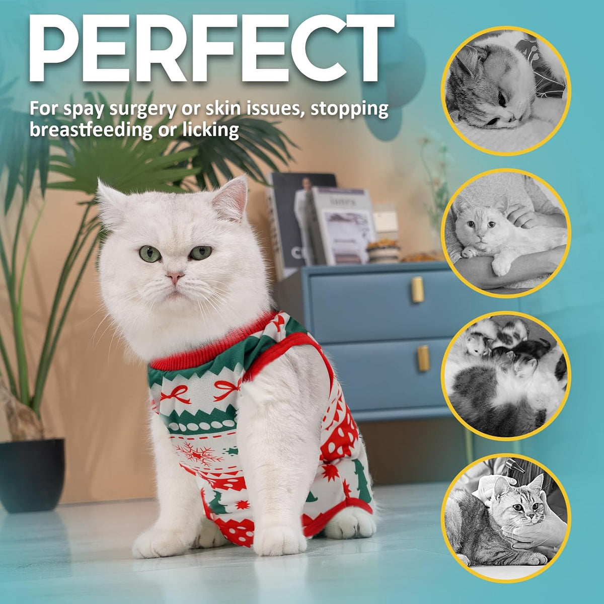 Avont Cat Recovery Suit - Kitten Onesie for Cats After Surgery