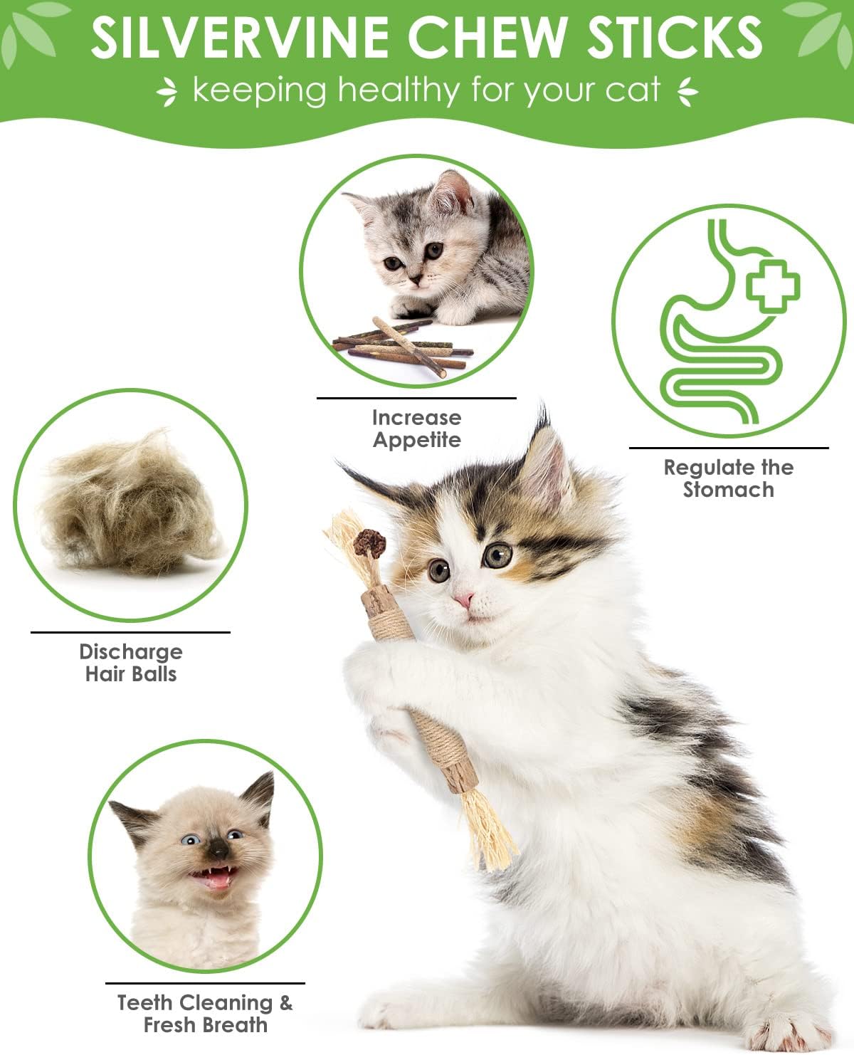 TINDTOP Silvervine Chew Sticks for Cats, 12 Pack Natural Catnip Chew Toys | for Kittens Teeth Cleaning, Matatabi Dental Care, Increase Appetite, Calm Cat Anxiety and Stress, Cat Dental Toy