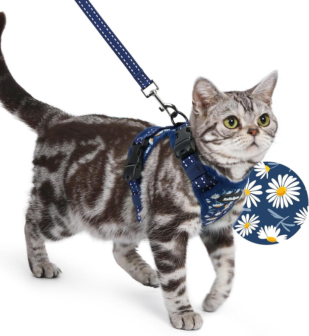 rabbitgoo Cat Harness and Leash Set, Easy-on with Neck Buckle, Night Daisy